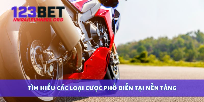 Tìm hiểu các loại cược phổ biến tại nền tảng