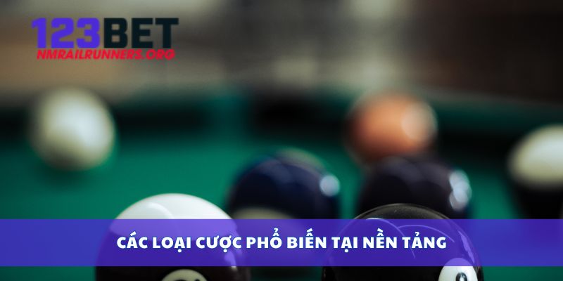 Các loại cược phổ biến tại nền tảng