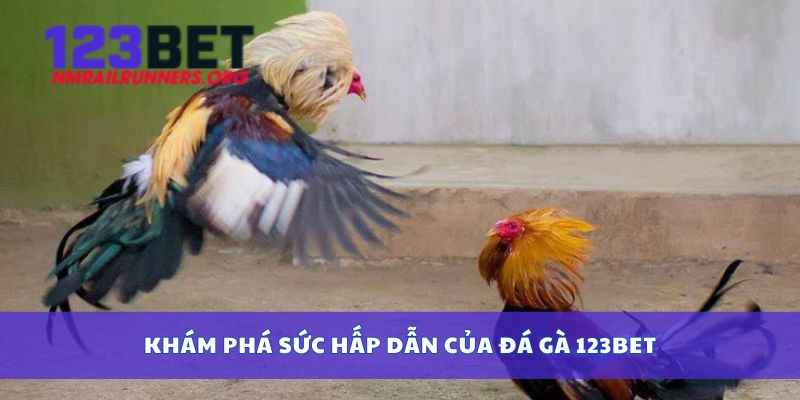 Khám phá sức hấp dẫn của đá gà 123bet