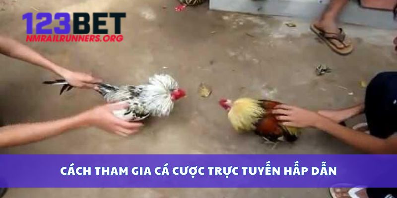 Cách tham gia cá cược trực tuyến hấp dẫn