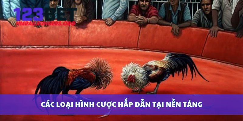 Các loại hình cược hấp dẫn tại nền tảng