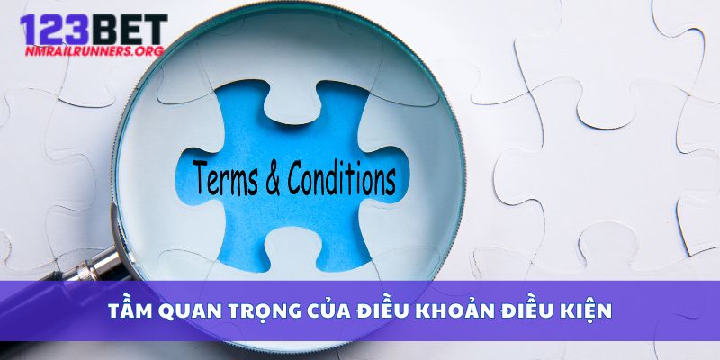 Tầm quan trọng của điều khoản điều kiện