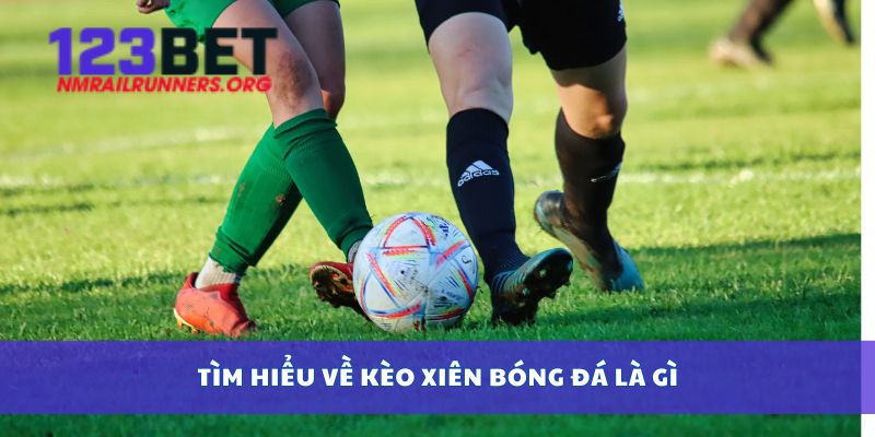 Giới thiệu tổng quan về cá cược boxing